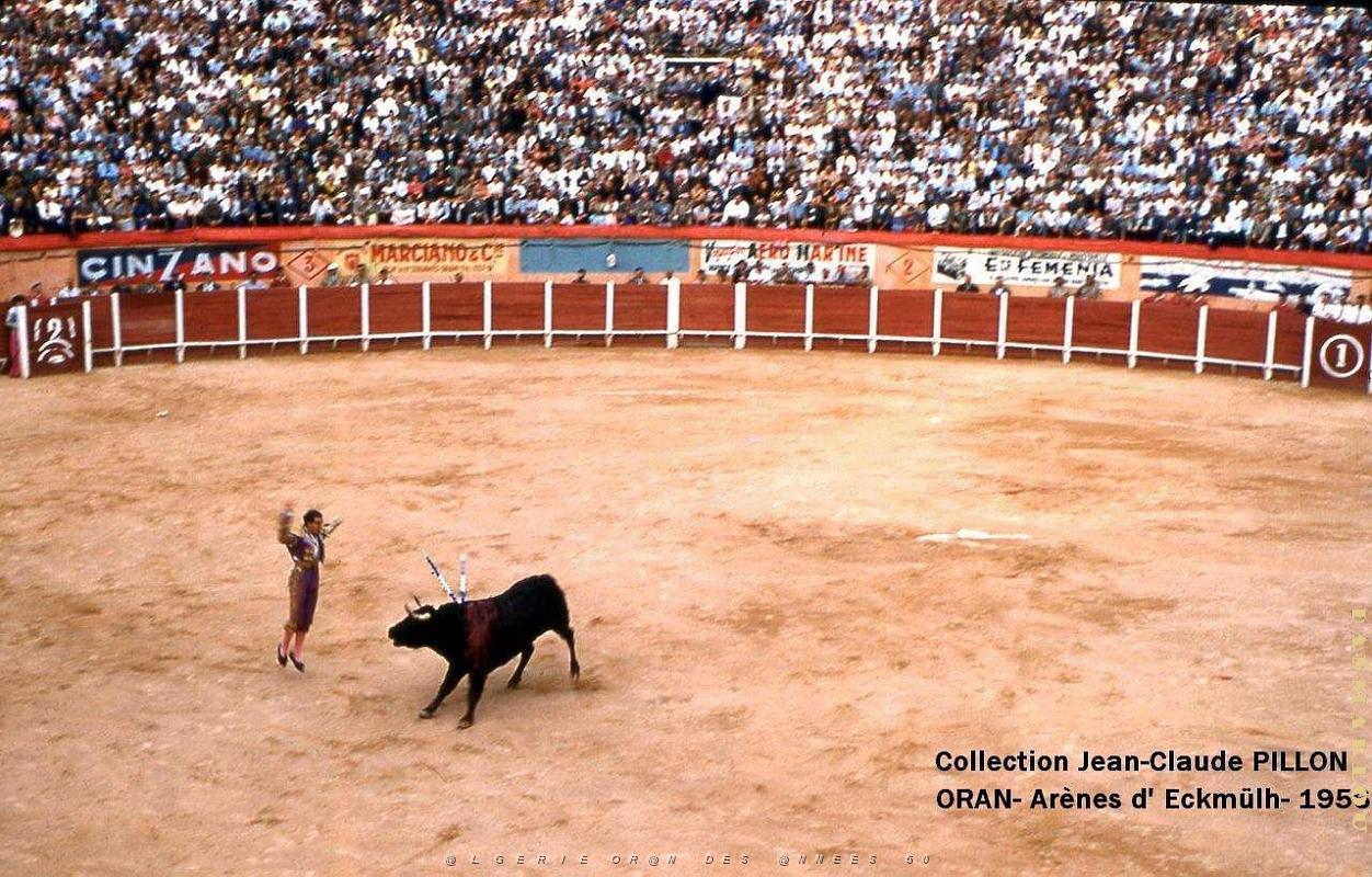 Oran- Arenes d' Eckmulh 28.JPG
